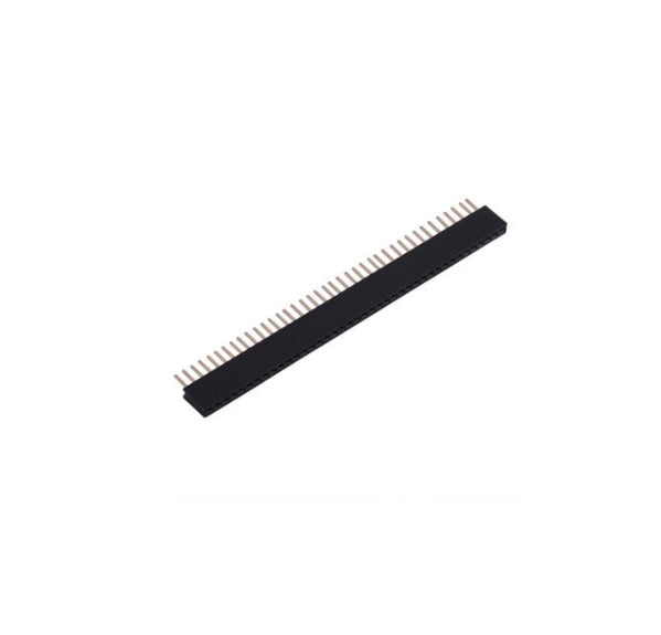 40 Pin 2.54mm Pitch Female Berg Strip Connector