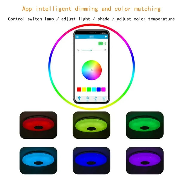 Smart Bluetooth Music Ceiling Lamp