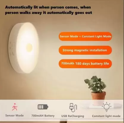 Motion Sensor Light