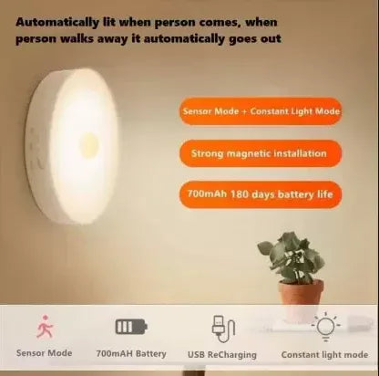 Motion Sensor Light - Robot Pi Shop