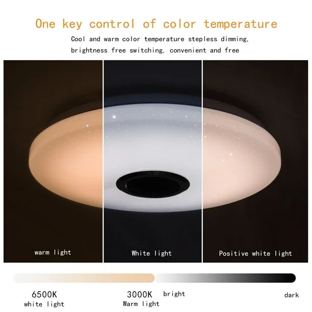 Smart Bluetooth Music Ceiling Lamp
