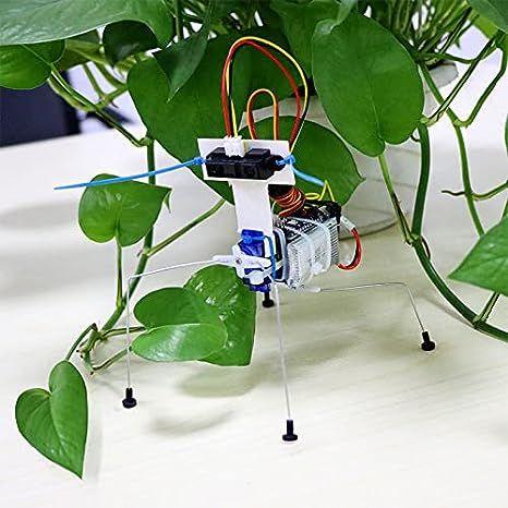 Insect Robot Car Kit - Robot Pi Shop