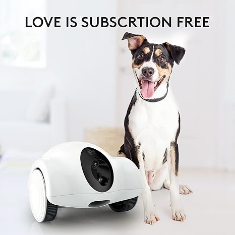 Smart Pet Camera