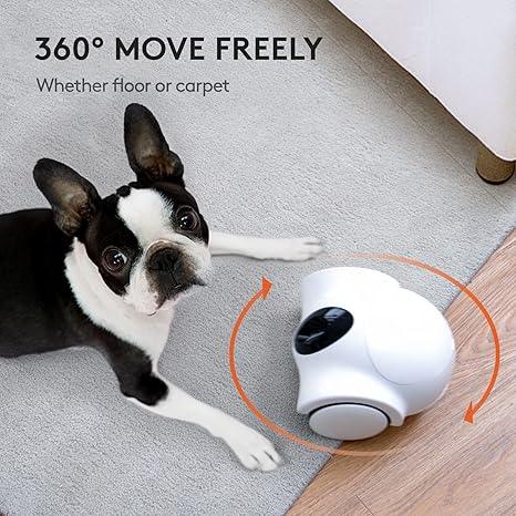 Smart Pet Camera - Robot Pi Shop