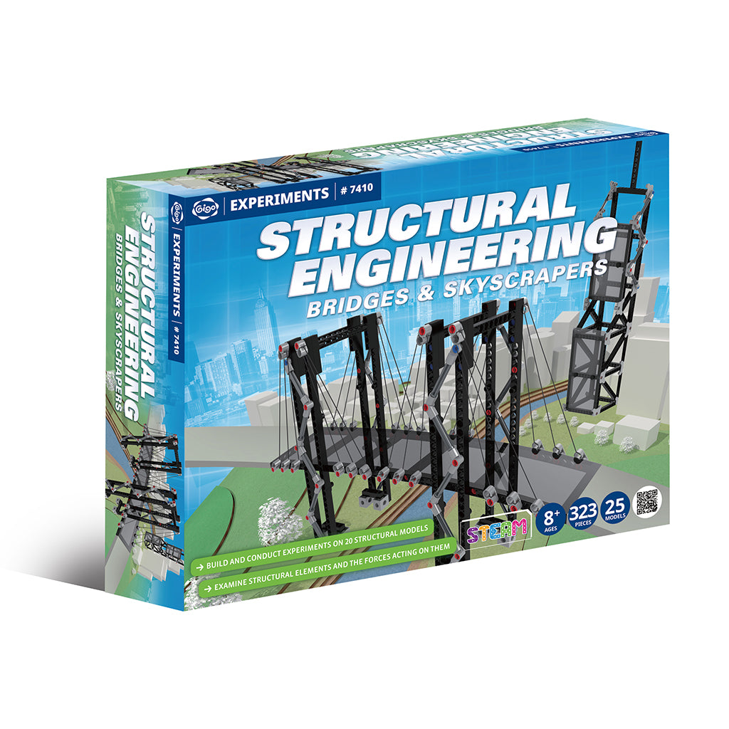 Structural Engineering: Bridges & Skyscrapers