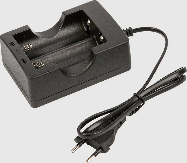 Li-ion Battery Dual Charger - Robot Pi Shop