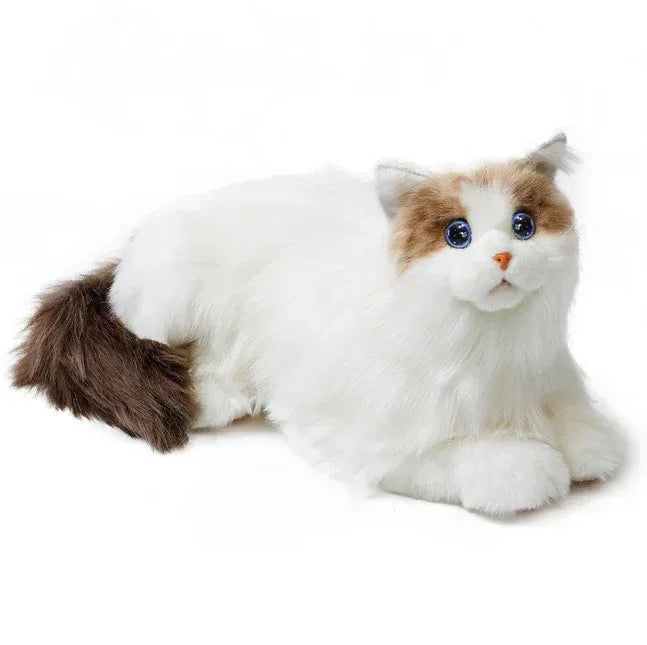 Elephant Robotics metaCat - Robot Pi Shop