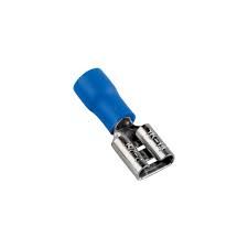 Cosse Female Blue