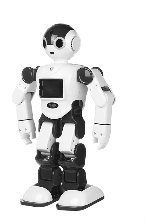 Cityeasy Intelligent Humanoid Robot Voice Control Robot