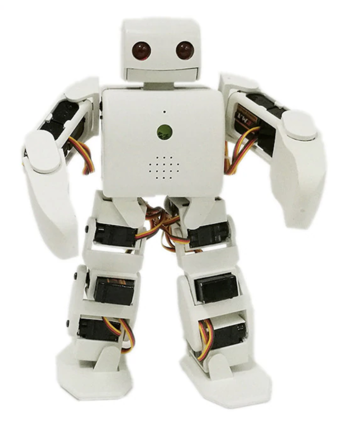 Humanoid Robot