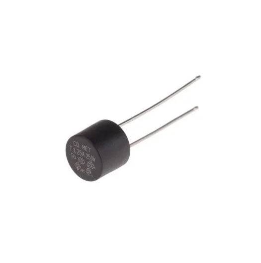 Micro Fuse T2A 250V - Robot Pi Shop