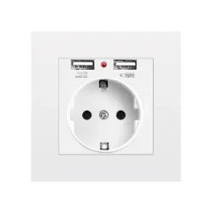 Power Socket with USB Charging - Robot Pi Shop