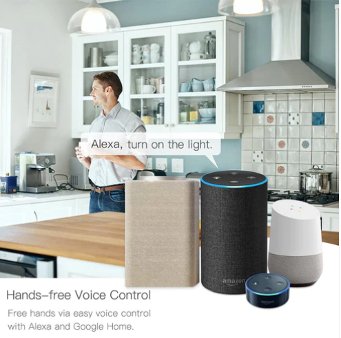 MOES DIY WiFi Smart Light Switch Module 16A