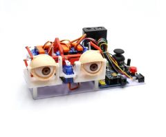Arduino Bionic Eyes Robot